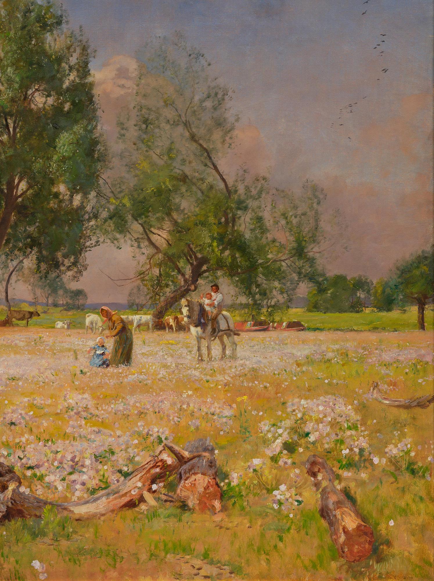 David Murray, Blomstrande sommaräng.