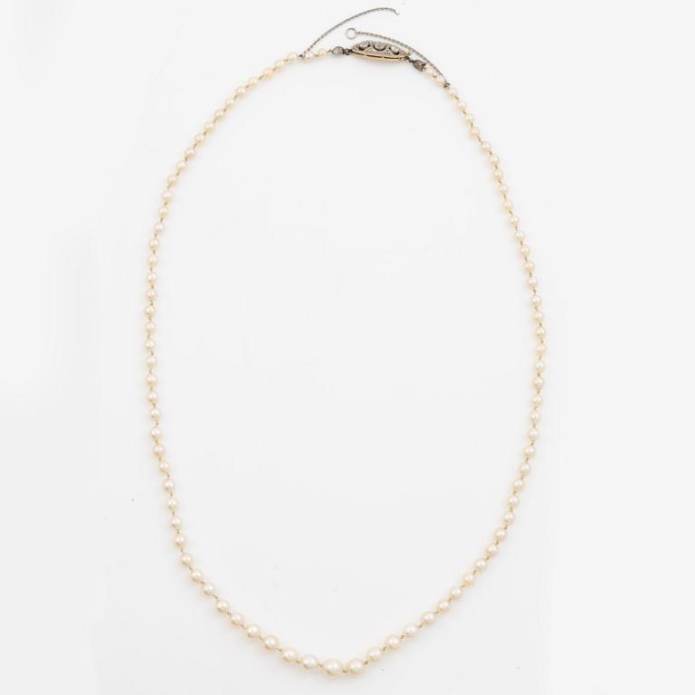 Necklace of cultured pearls, clasp in 14K gold set with old mine and rose-cut diamonds.