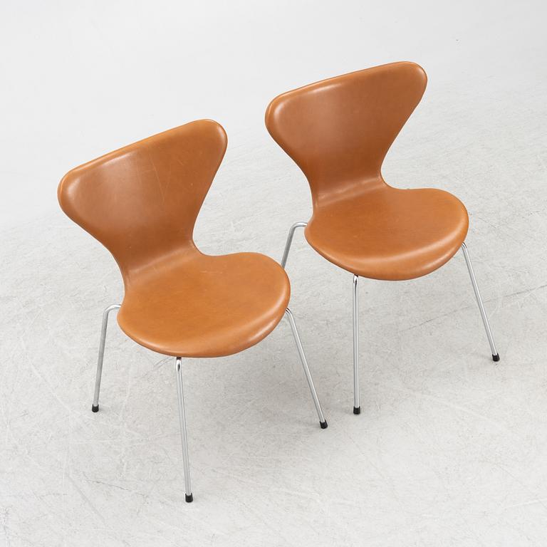 Arne Jacobsen, stolar 6 st. "Sjuan", Fritz Hansen, Danmark.