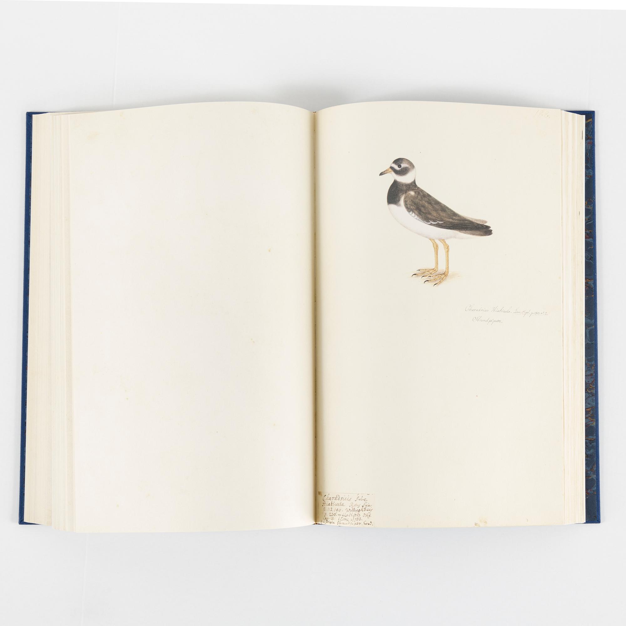 Olof Rudbeck A portfolio and two books, 1985. 35 litographs in color.