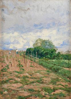 982. Wilhelm Behm, Vineyards, Suresnes.