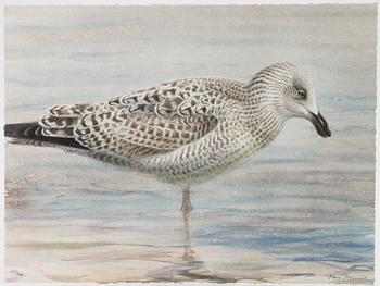 Lars Jonsson, portfölj "Dagrar", 2000,  med 12 färglitografier, signerade 167/366.