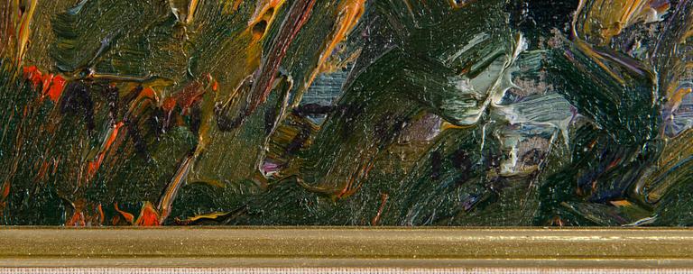 Aukusti Koivisto, Vy från Hupisaaret.