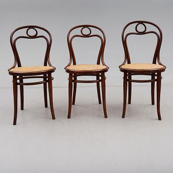 STOLAR, 3 st, Thonet, 1900-talets början.