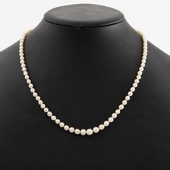 Pearl necklace, with cultured pearls, clasp in white metal with marcasites.