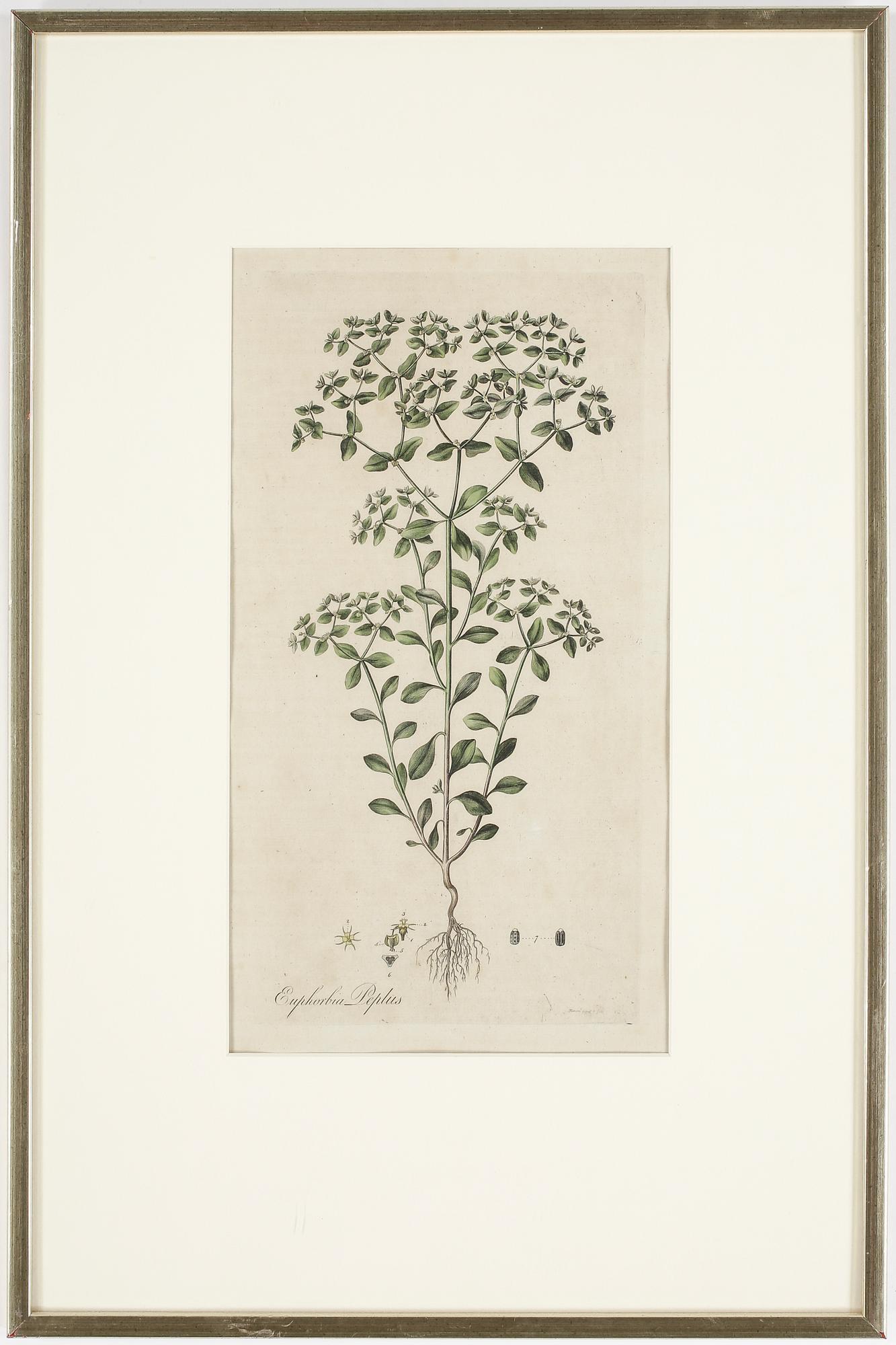 GRAVYRER, ett par, delvis handkolorerade, 1700-tal.