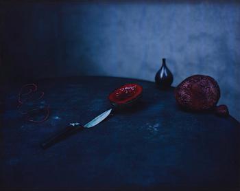 222. Denise Grünstein, "Cadmium Red", 2011.
