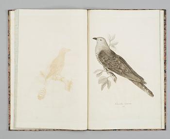 ANDERS SPARRMANN (1748-1820), Svensk Ornithologie med efter naturen colorerade tekningar, Stockholm 1806.
