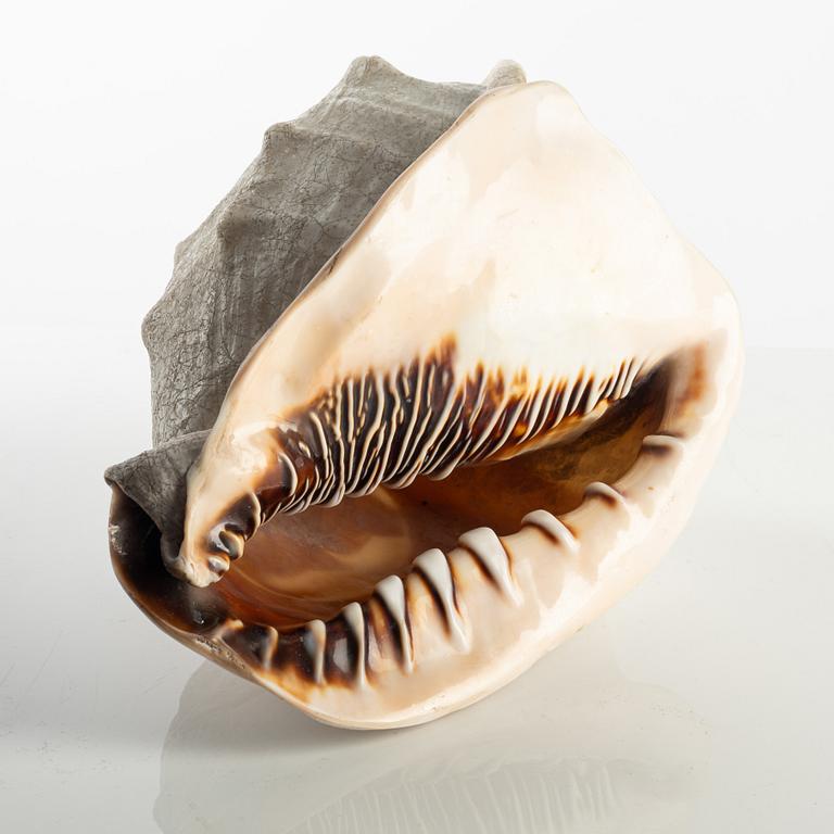 An Italian conch cameo shell, first half of the 19th century.