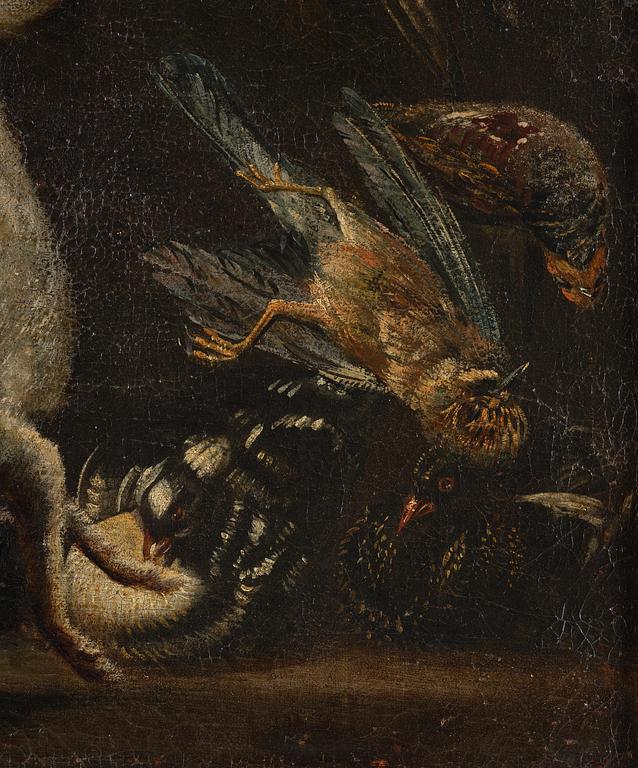 Jacopo da Empoli, hans efterföljd, Skafferi med fåglar, hare och fisk.