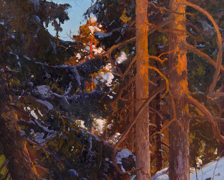 Carl Brandt, Talvinen metsämaisema.