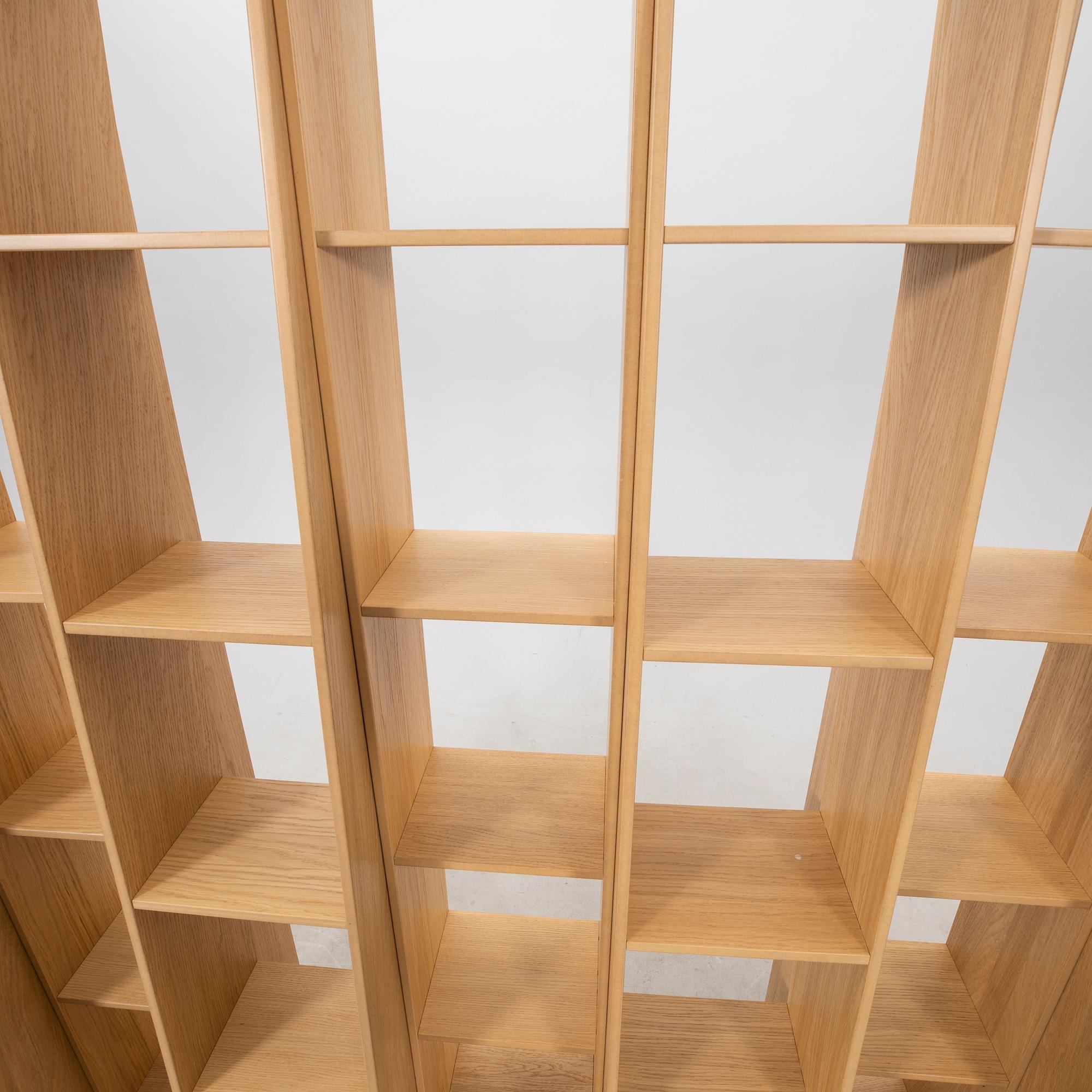 Shelf system "Endless shelf" Massproductions 2000s.