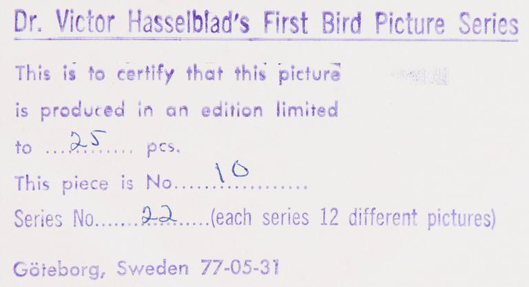 VICTOR HASSELBLAD, fotografier, 12 st, signerade, daterade och numrerade, ur serien nr 22.