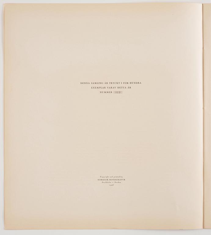 "Helene Schjerfbeck".
