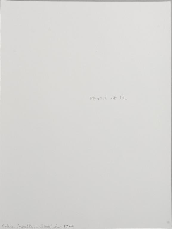 Peter de Ru, "Sotare, Aspudden, Stockholm, 1977".
