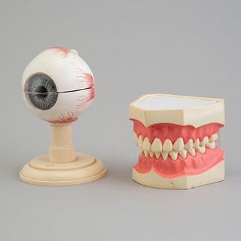 Two plastic models, mid 20th century.