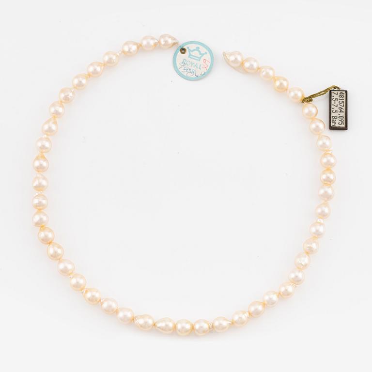 A necklace of cultured pearls without a clasp.
