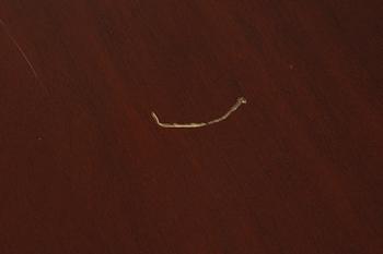 MATSALSGRUPP, 7 delar, gustaviansk stil, 1900-talets andra hälft.