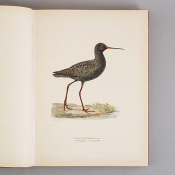 Three book "Svenska fåglar (Swedish birds)" with images by M, W & F VON WRIGHT, printed by Börtzells AB, 1924-1929.