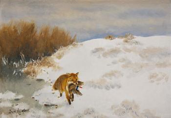 974A. Bruno Liljefors, Fox with duck.