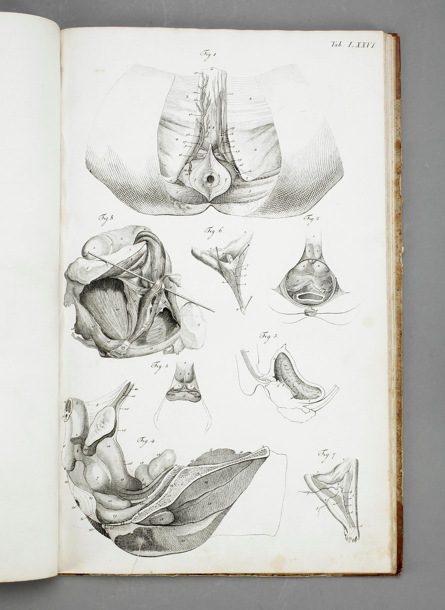 BOK, G H R Loders, "Tabulae Anatomicae Splanchologia", omkr år 1800.