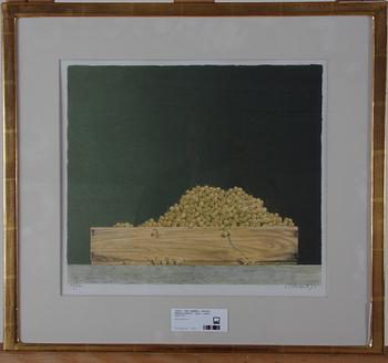 VON SCHANTZ, PHILIP. Färglitografi, sign o numr 152/170.