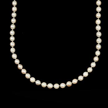 COLLIER, odlade saltvattenspärlor, lås i 18K vitguld med 6 små diamanter.