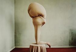 Curated Photographs F859