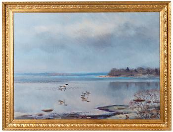 Lindorm Liljefors, BIRDS BY THE SHORE, ÅLAND.