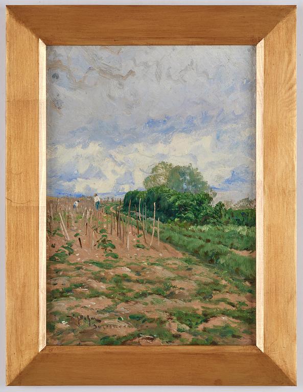 Wilhelm Behm, Vineyards, Suresnes.