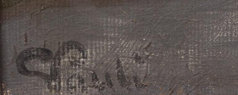 Georg Pauli, Archipelago view.