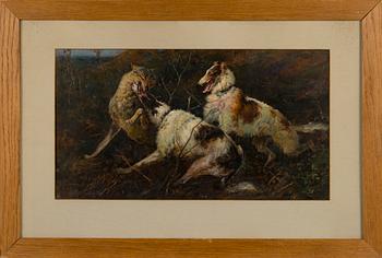 HUGO BACKMANSSON, DOGS AND A WOLF.