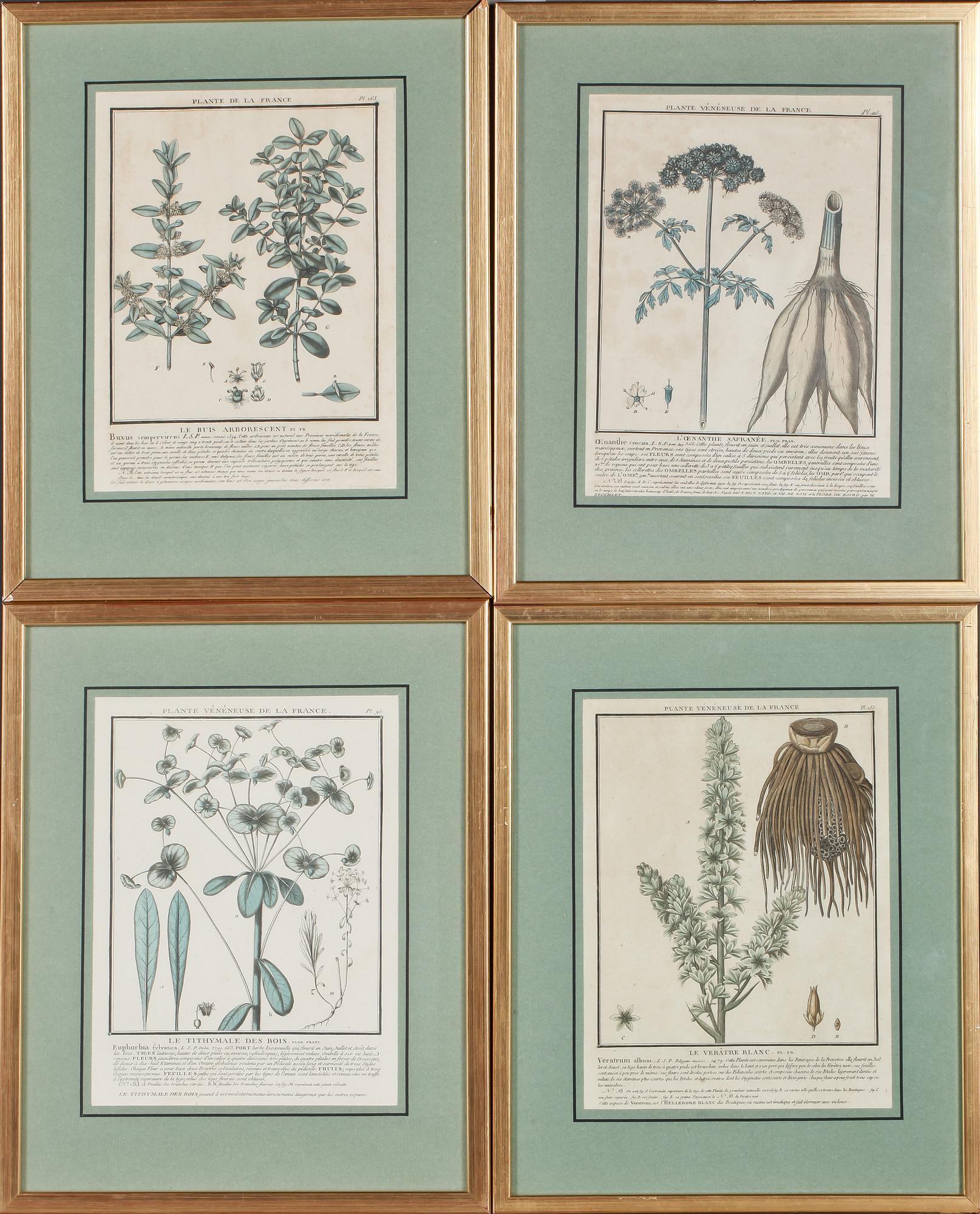 GRAFISKA BLAD, 4 st, kolorerade, 1700/1800-tal.