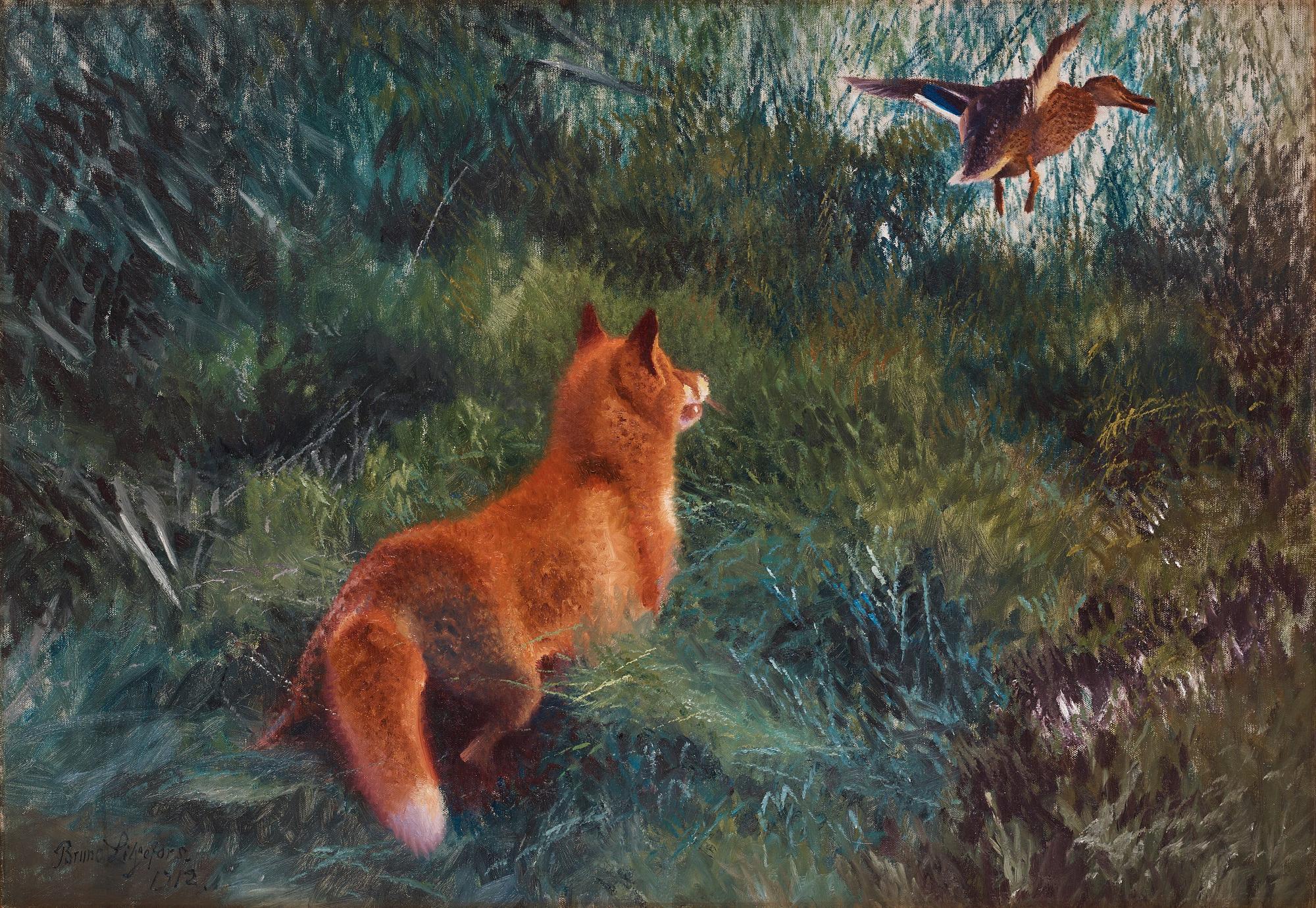 Bruno Liljefors, Fox and lifting mallard.