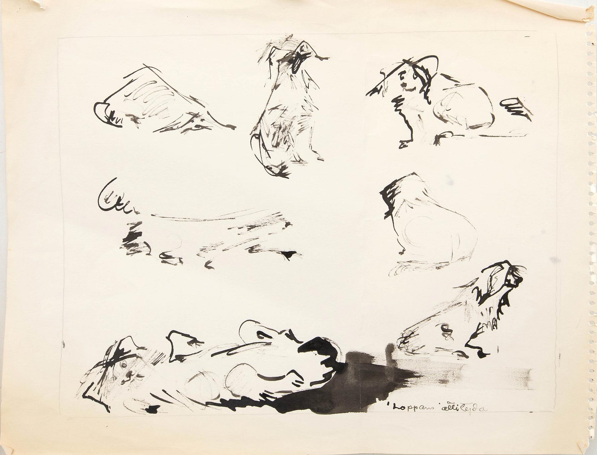 Margit Jones, akvareller, 4 st, "Loppan".