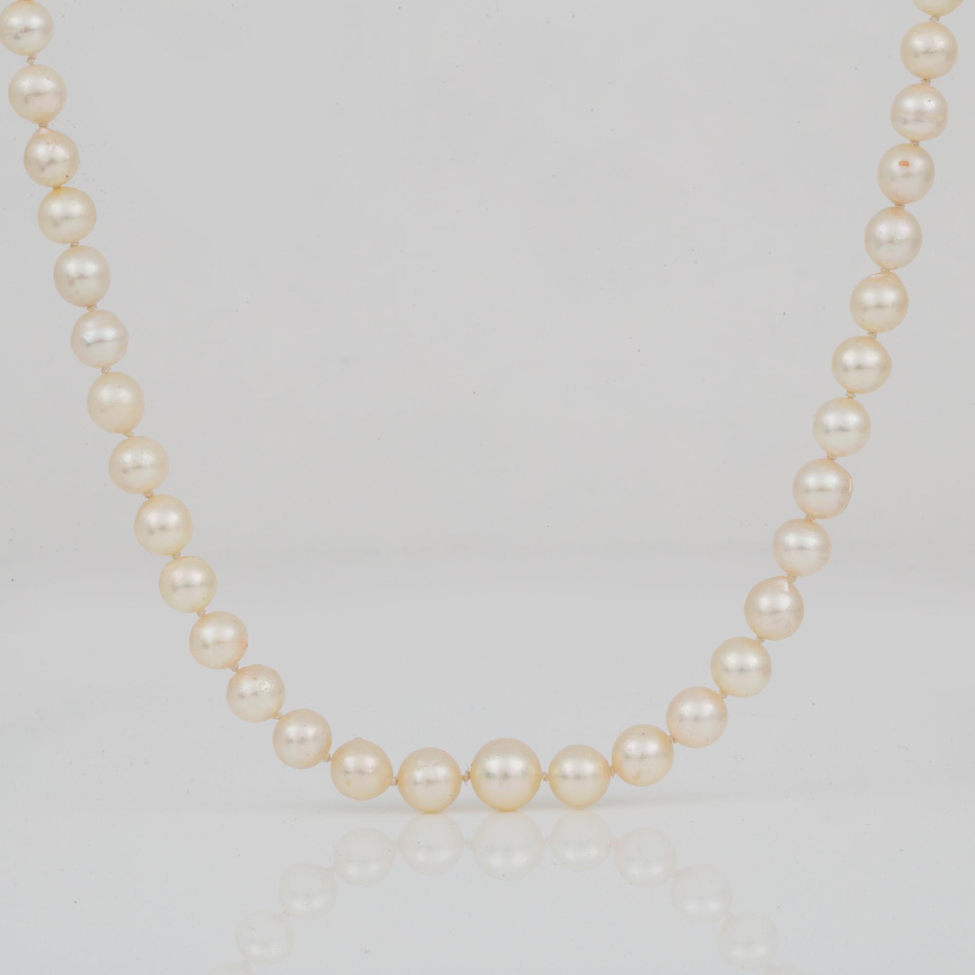 COLLIER, med odlade pärlor och lås i silver.