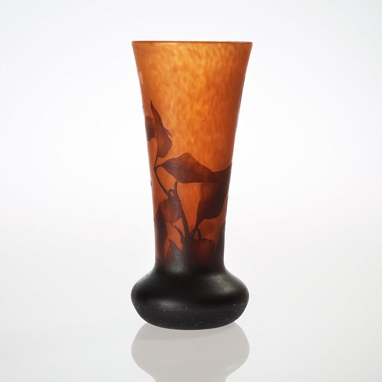 A Daum Art Nouveau cameo glass vase, Nancy, France.