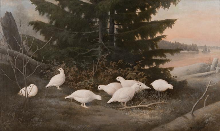 Ferdinand von Wright, PTARMIGANS.