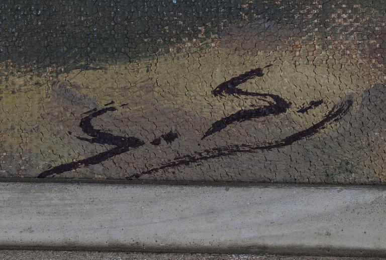 Santeri Salokivi, SUNNY CLIFFS.