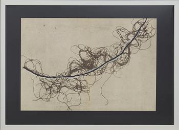 Francois Fiedler · FRANCOIS FIEDLER, färglitografi, ur Derrière le Miroir nr 211 1974.