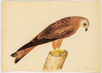 Olof Rudbeck the younger, after, a portfolio and two books, 1985. Numbered 285/1499.