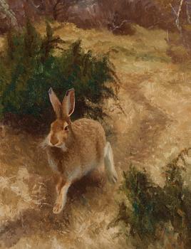 Bruno Liljefors, Hare in an autumn landscape.