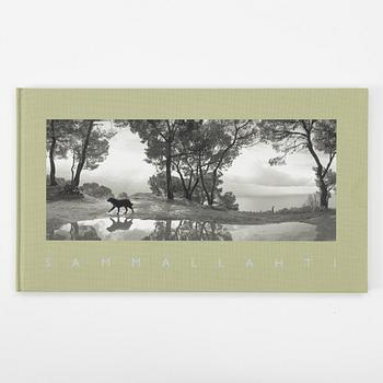 Pentti Sammallahti, "Sammallahti".