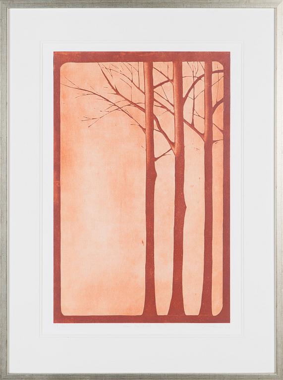 Hannu Palosuo, 'When the Truth Lies II'.