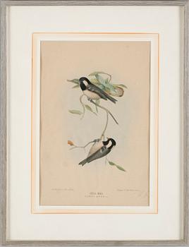 LITOGRAFISKA TRYCK, 4 st, 1900-talets första hälft.