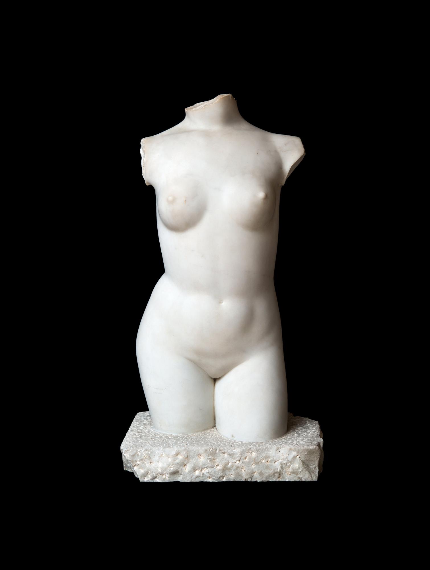 Matti Haupt, TORSO.