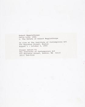 ROBERT MAPPLETHORPE, pressfotografi, "Calla Lily", 1984.