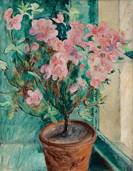 Ture Ander, Hibiskus i kruka.