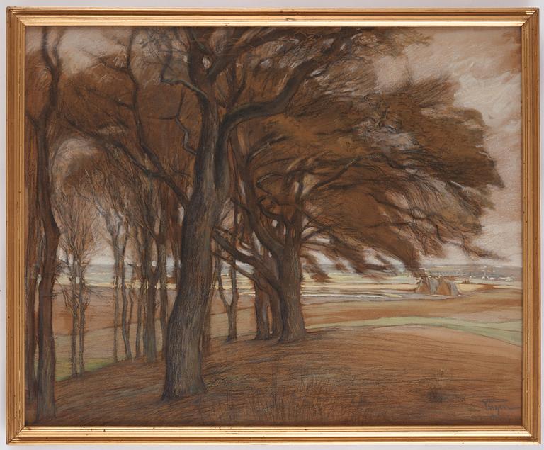 Prins Eugen, Trees in Torup, "Västerlund".