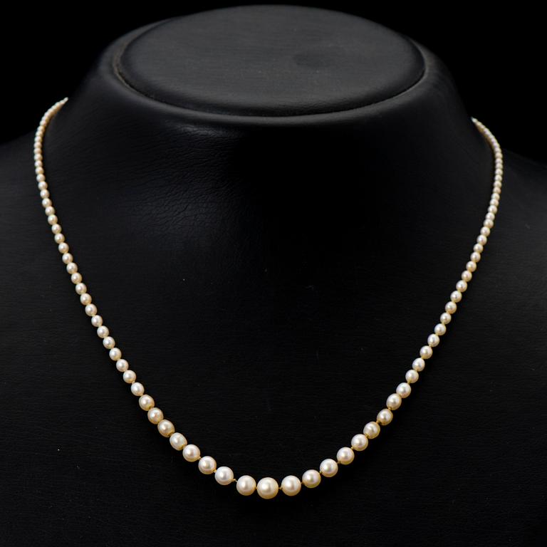 PÄRLCOLLIER, orientaliska pärlor, lås 18k guld med rosenslipade diamanter.